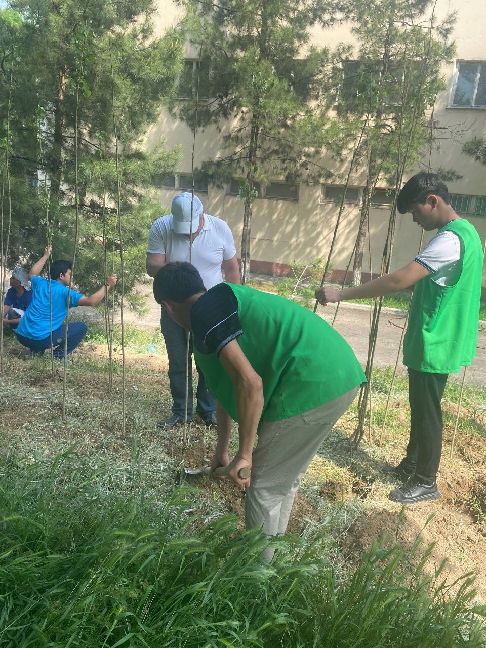 Toshkent arxitektura-qurilish universitetida “Eko faol” ko‘chat ekish tadbiri tashkil etildi